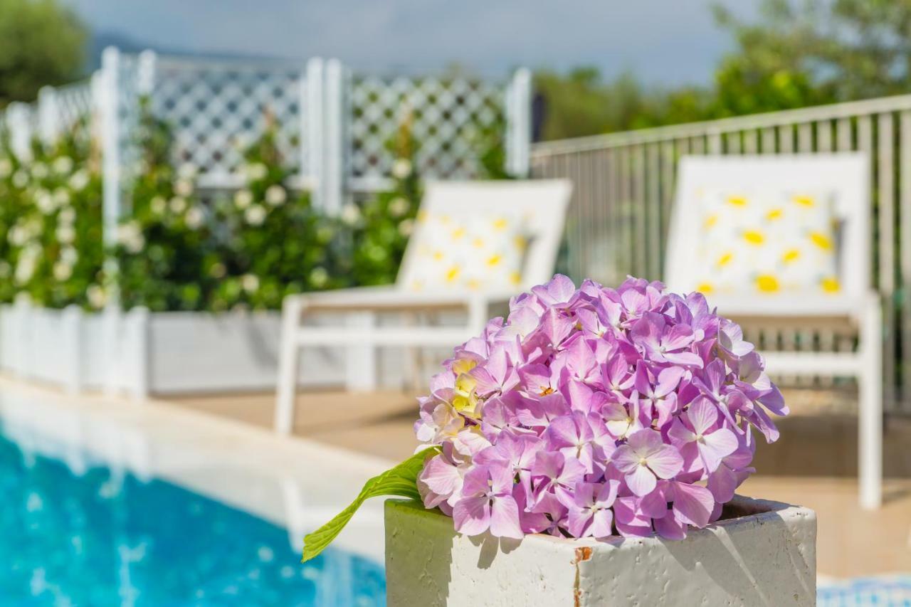 Villa Sorrento Flats Zewnętrze zdjęcie