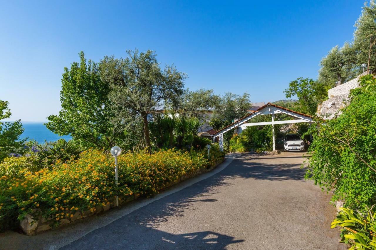 Villa Sorrento Flats Zewnętrze zdjęcie